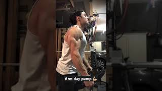 Max Arm Pump 💪🏼 trending shorts fitness bodybuilding watchnow explore progress [upl. by Noda]