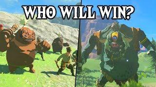 Monster Control Crew VS HINOX  Zelda Tears of the Kingdom [upl. by Eiramanin]