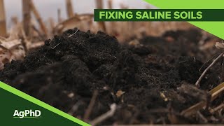 Fixing Saline Soils 1084 Air Date 11319 [upl. by Aihcsrop]