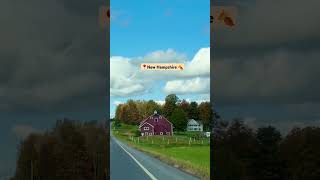 Road Trip was Magical🚗🍂 shorts ytshorts usa travel vacation trip weekend colour collegelife [upl. by Viola]