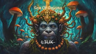 L3UK  Son Of Anjana Hitech Psytrance [upl. by Elleivad336]