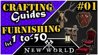 New World Crafting  Furnishing  Leveling Guide 1 to 50 [upl. by Artied]