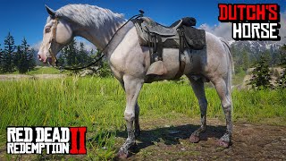 Proper Way To Get Dutchs Albino Arabian Horse  RDR 2 [upl. by Carmina]