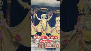 Sri Panchatattva Mayapur kartikyatra [upl. by Roos]