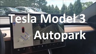 Teslas Model 3 AutoPark  Day 125 [upl. by Baiel]