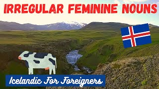 Icelandic Grammar Irregular Feminine Nouns [upl. by Ruddie]