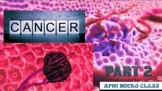 PART2 Classification Of Cancer  Carcinoma  Sarcoma  Leukaemia  Myeloma  Lymphoma cancer [upl. by Aracat]