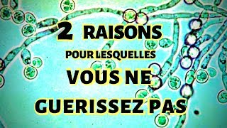 2 RAISONS POUR LESQUELLES VOUS NE GUÉRISSEZ PAS HYPOTHYROÏDIE ET ACIDITÉ GASTRIQUE [upl. by Eirene]