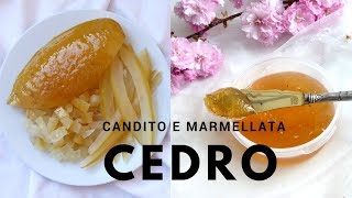 RICETTA CEDRO CANDITO  MARMELLATA di Cedro fatta in casa RICETTE DI GABRI Kitchen Brasita [upl. by Nalrah702]