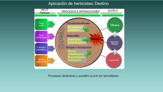 Manejo de malezas y herbicidas [upl. by Julienne69]