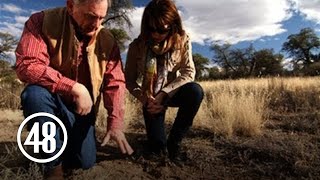 Tracking the trail of footprints outside murder victims home [upl. by Eisso]