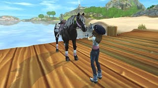 My 1000th Gold Rosette  ML Champ D Star Stable [upl. by Arde917]