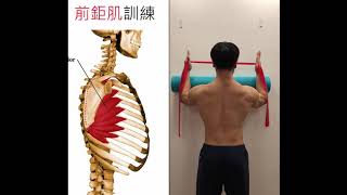 serratus anterior training 前鉅肌訓練 [upl. by Irvine]