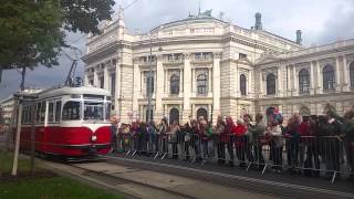 150 Jahre Wiener Linien  Oldtimer Trams am Ring [upl. by Atirhs]