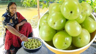 সর্দি কাশি গ্যাস অম্বল দূর করতে আমলকী এইভাবে একবার খেয়ে দেখুন দারুন উপকার পাবেন  amla recipe [upl. by Claudina]