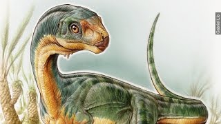 How A 7YearOld Helped Find A Brand New Group Of Dinosaurs [upl. by Ro]