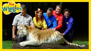 There Are So Many Animals 🐅🦁🐒 Animals Songs for Kids with The Wiggles [upl. by Lenrow]