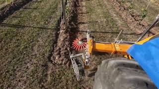 Uhudler  Wein  Concorde Jungpflanzen Unterstockpflege im Weingarten [upl. by Ekoorb]