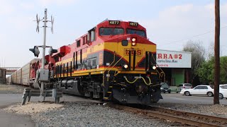 Eight Trains In Laredo Tx 511  1423 [upl. by Anihta]