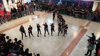 INSOMNIA Flashmob 2019 IISER MOHALI [upl. by Ardnoet632]