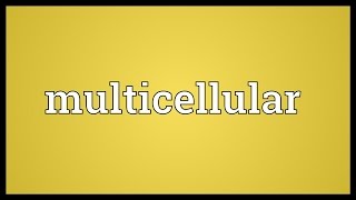 Multicellular Meaning [upl. by Linea718]