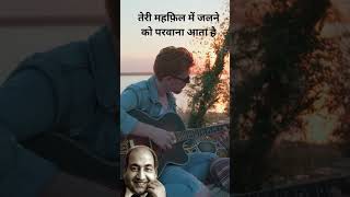 तेरी महफ़िल में जलने को परवाना आता है  mohdrafi song oldisgold rafisongs mohammedrafi [upl. by Postman194]