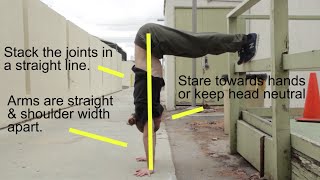 Master Your Handstand  6 Bodyweight Exercises  pigmie amp Tapp Bros [upl. by Ralaigh]