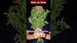 Baño de Ruda Elimina Brujería 🔥 [upl. by Ida]