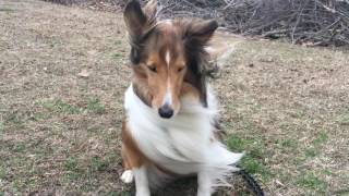 Windy day at the lake with Ms Bailey [upl. by Angelina]