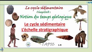 lécchelle stratigraphique  le cycle sédimentaire 1ère année APIC [upl. by Sirrom]