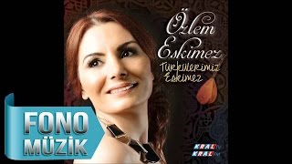 Özlem Eskimez  Dağlar Seni Delik Delik Delerim Official Audio [upl. by Eiramana]