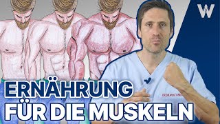 5x Ernährung für den schnellen Muskelaufbau amp Transformation Diese Nahrung geht in die Muskeln [upl. by Omland31]