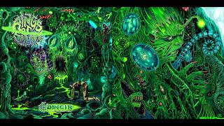 RINGS OF SATURN  DINGIR INSTRUMENTAL REMASTER OFFICIAL FULL LENGTH ALBUM STREAM 2021 [upl. by Jeremias]