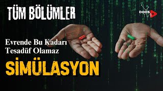 Simülasyon Evren Gerçek Olabilir Bilgisayar Oyununun İçinde Yaşıyoruz  Tüm Bölümler  Doos TV [upl. by Schulein]