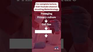 basics of cell culture introduction to cell culture unveiling biotechnology [upl. by Brunhilde]