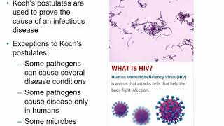 2117 Chapter 14  Principles of Disease and Epidemiology [upl. by Ekaj]