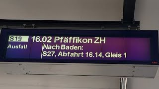 SBB Ansage Ausfall S19 nach Pfäffikon ZH [upl. by Socher734]