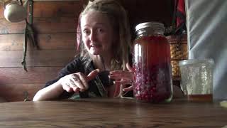 How to make Hawthorn berry infused honey [upl. by Brande489]