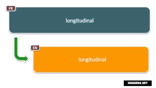 How to pronounce longitudinal [upl. by Cuttie]