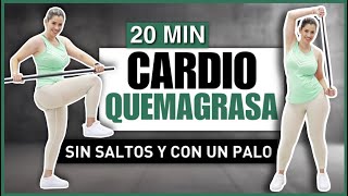 CARDIO SIN SALTOS 🔥 20 MINUTOS PARA UNA PÉRDIDA DE PESO EFECTIVA  QUEMAGRASA Y ADELGAZA RÁPIDAMENTE [upl. by Itsirk190]