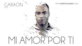 ANDDY CAICEDO  MI AMOR POR TI  AUDIO [upl. by Adlev]