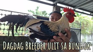 Dagdag batch ulit ng breeder sila Tito sa bundok [upl. by Marchelle342]