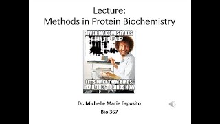 BIO 367 Biochemistry Methods in Proteins includes Mass Spec NMR Gel Electrophoresis Sequencing [upl. by Nyliahs]