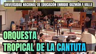 LA CANTUTA❤️  ORQUESTA TROPICAL DE LA CANTUTA❤️ [upl. by Assillim193]