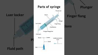 Parts of syringe 💉।। Use of syringe syringe medical doctor nursing trending niddle [upl. by Hsiwhem]