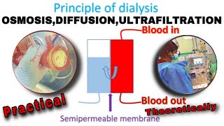 Principle of Hemodialysis  How Dialysis Works [upl. by Zosima]