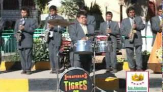 Orquesta Imbatibles Tigres de Huanuco musica del centro [upl. by Eniahpets]