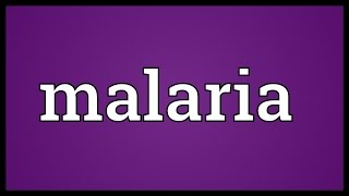 Malaria Meaning [upl. by Annaicul]