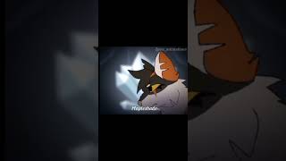 Mapleshade animation edit animation entertainment art warriorcats animator animater [upl. by Magna832]