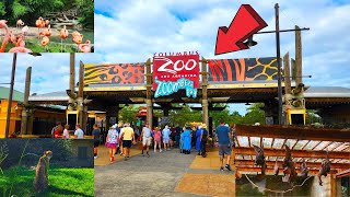 Columbus Zoo and Aquarium Virtual Walking Tour [upl. by Nidnerb328]